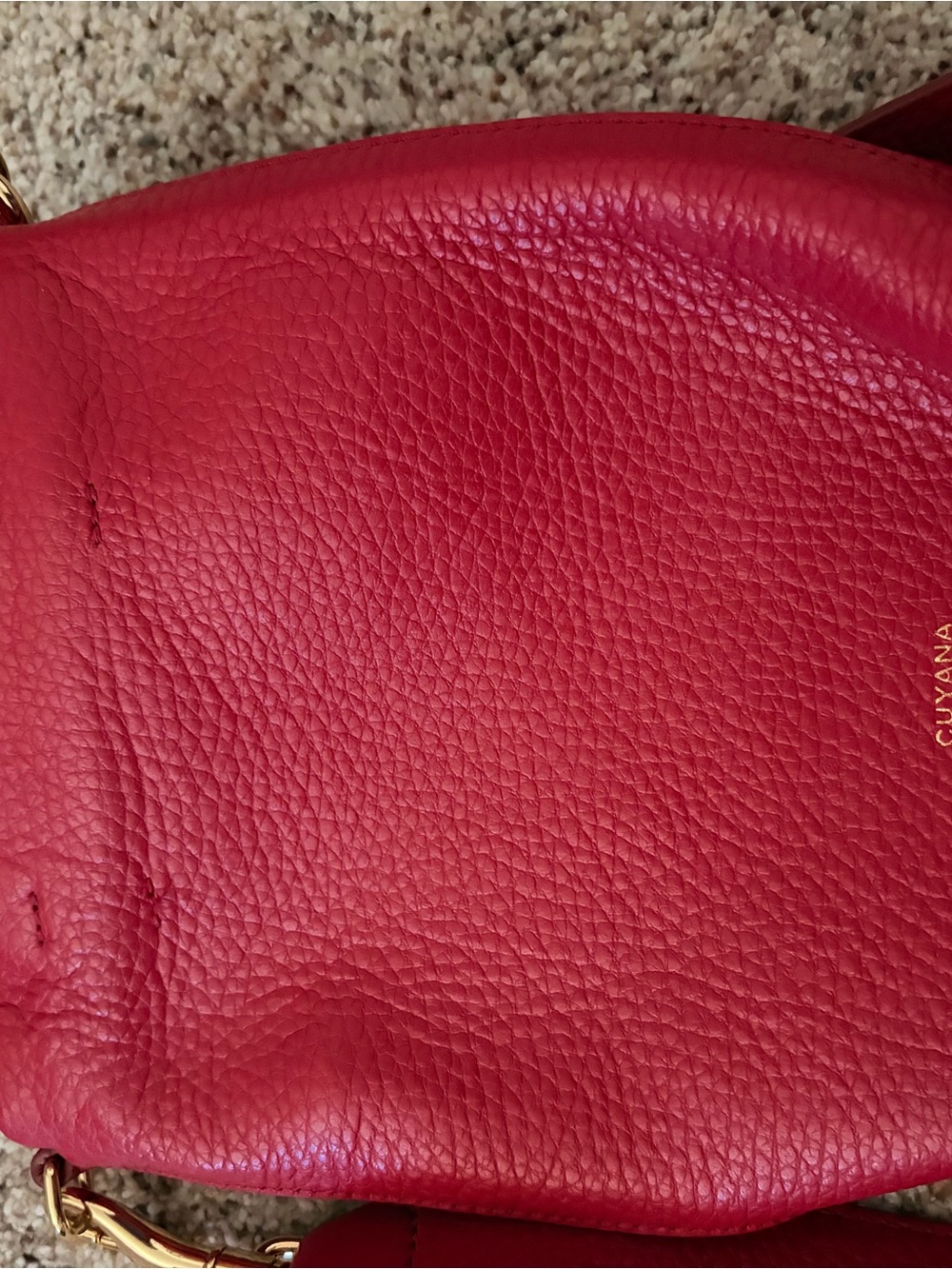 Cuyana raspberry Mini Leather Tote with Gold Hardware